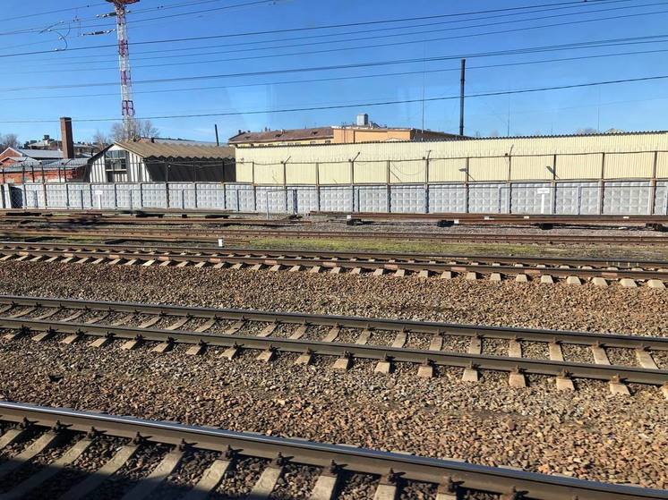 В Чудове завершился первый этап ремонта пешеходного моста через ж/д пути