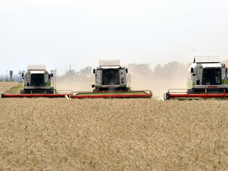 A man chases children on a harvester in the Krasnoyarsk Territory