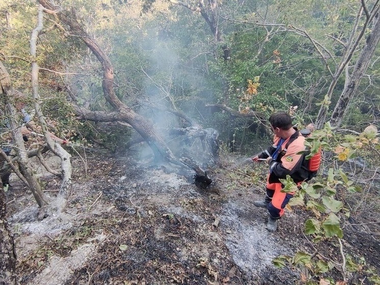 Крупный лесной пожар в Геленджике локализовали