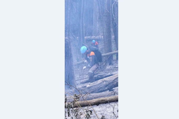 Лесной пожар произошел в Тебердинском нацпарке в Карачаево-Черкесии