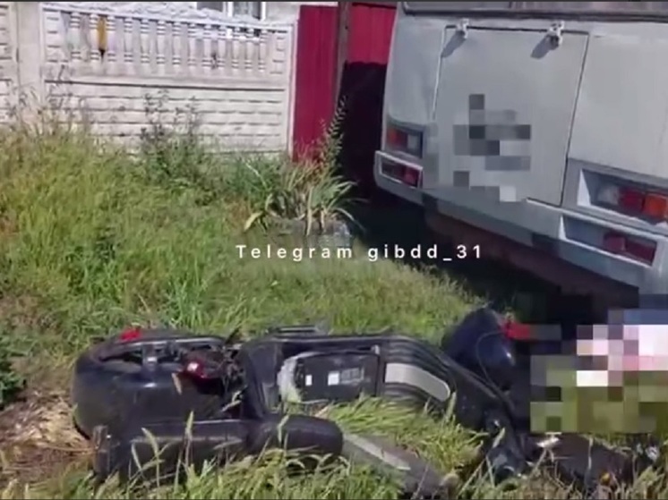 В Белгородской области водитель электромопеда погиб, въехав в автобус