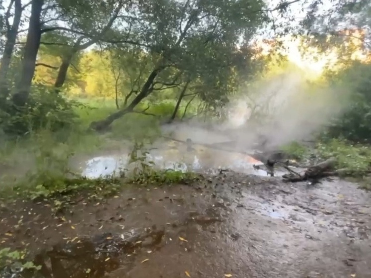В Химку коммунальщики слили технологическую воду из теплосетей