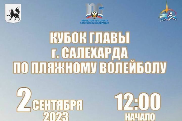 Beach volleyball cup to be played in Salekhard
