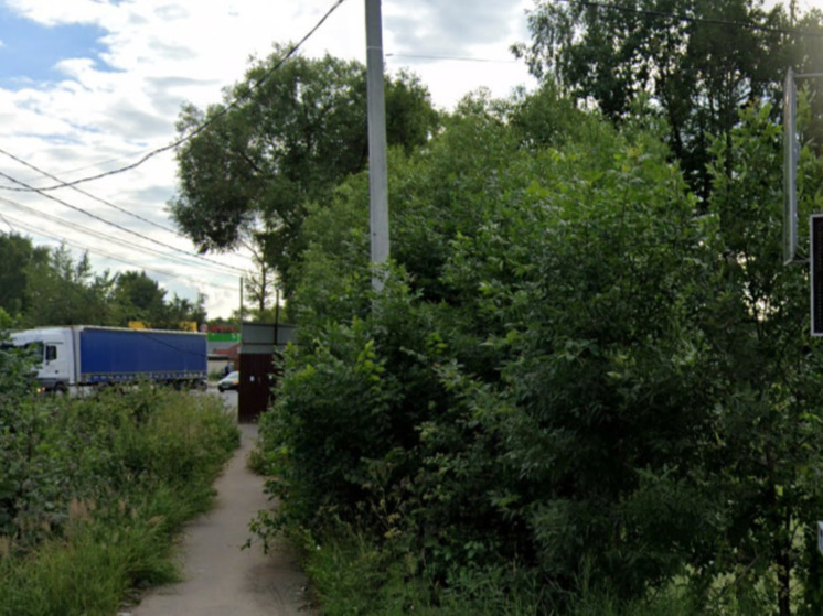 В Одинцове предложили создать сквер в память о Дарье Дугиной