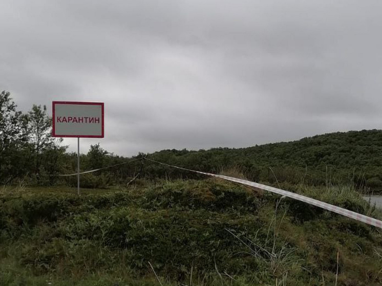 На губе Ура отменили карантин по птичьему гриппу