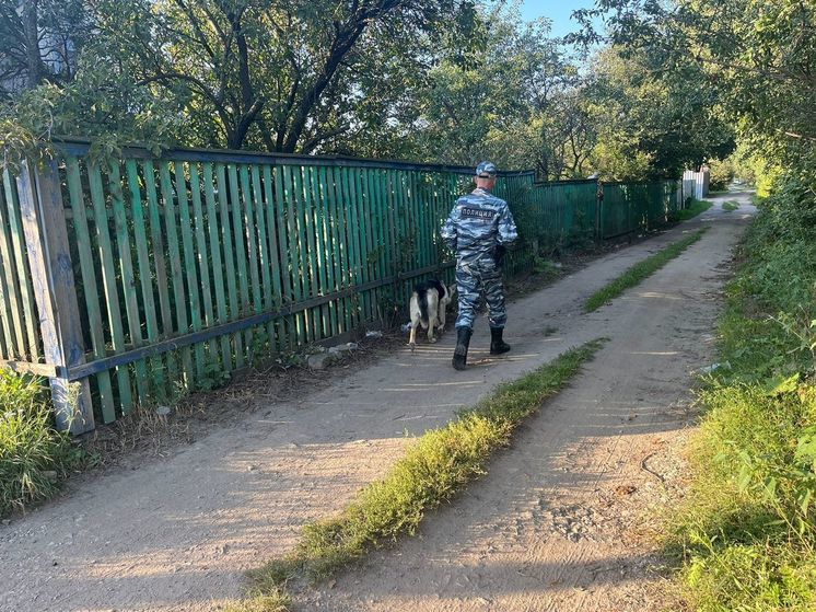 Вечером 31 августа в Рязани заметили скопление полицейских с собаками