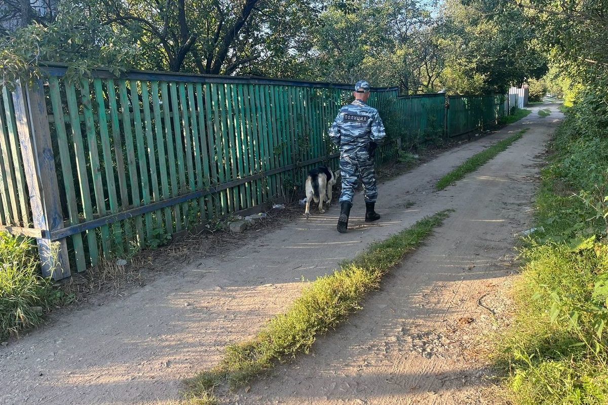 Вечером 31 августа в Рязани заметили скопление полицейских с собаками