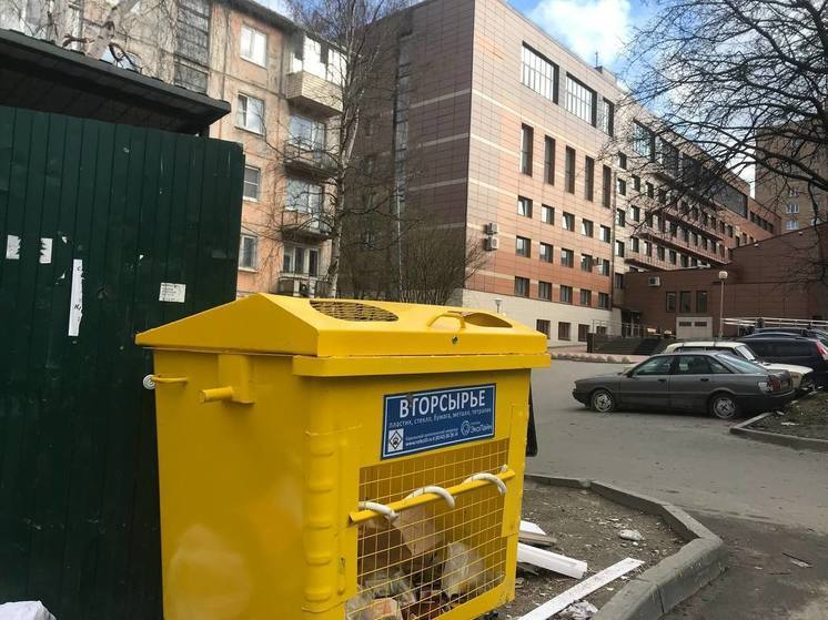 Фотоловушки поймала 49 жителей Петрозаводска, неправильно выкидывающих мусор