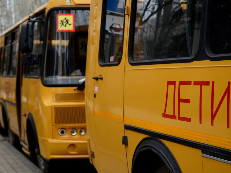 Два десятка автобусов для детей поступят в ДНР от республиканских властей