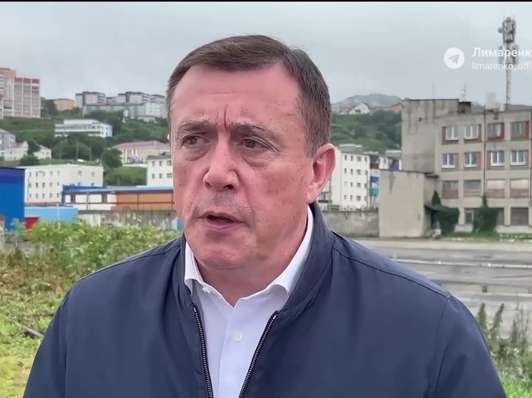 Губернатор: больше всего из-за стихии пострадал Южно-Сахалинск