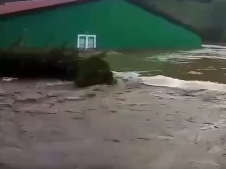 В Приморье затопило Барабашевский лососевый рыбоводный завод