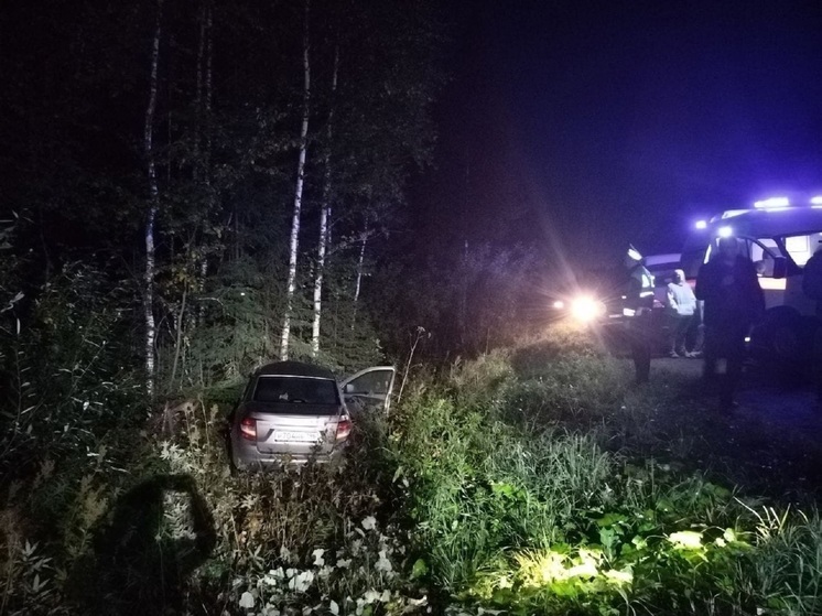 Водитель «Лада Гранта» в Верхней Салде погиб, столкнувшись с лосем