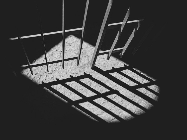 Жительницу Воронежской области осудили на 7 лет за убийство сожителя