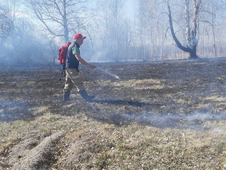 В Приангарье за сутки было ликвидировано два лесных пожара