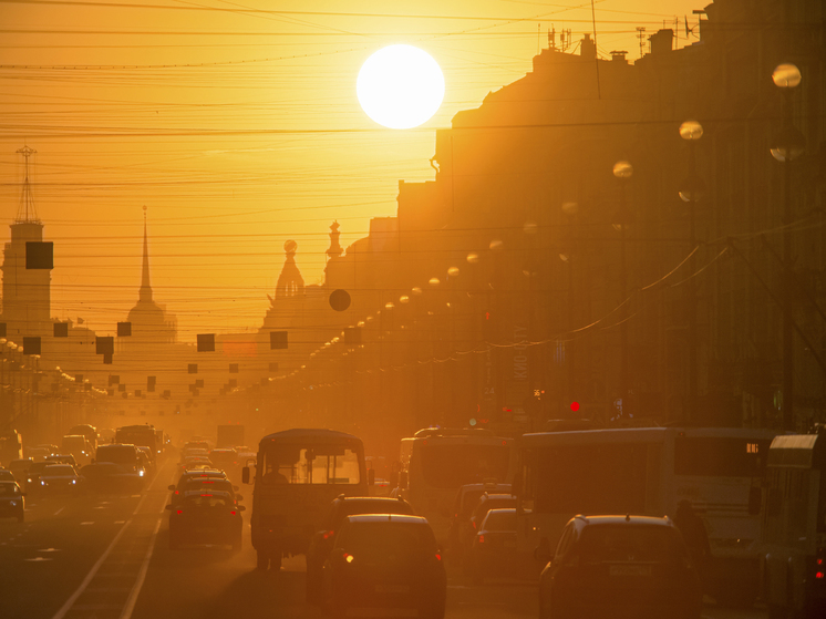 В августе солнце светило петербуржцам почти 270 часов