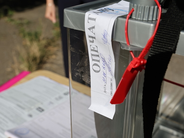 Первый день досрочного голосования в ДНР прошел без эксцессов