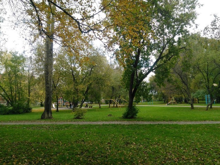 Выходные в Перми будут теплыми