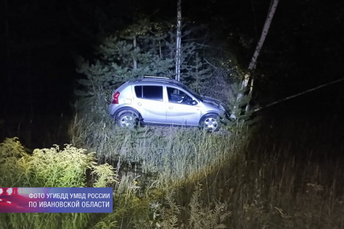 В Ивановской области 30 августа водитель пострадала при столкновении с кабанами