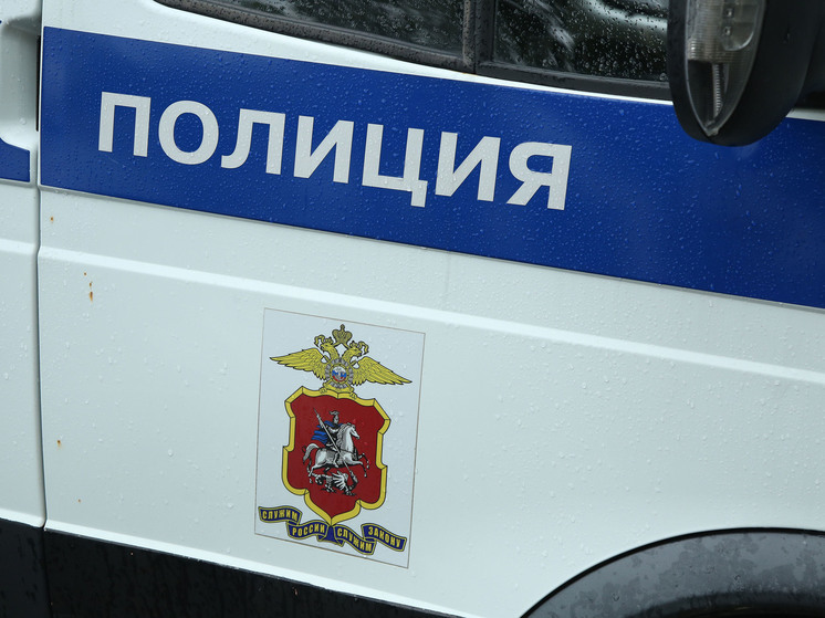 В Видном задержали мужчину, который накинулся на женщину в лесопарке