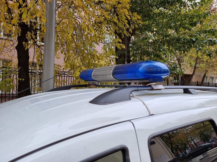 Twin sisters committed suicide in Omsk at the same time