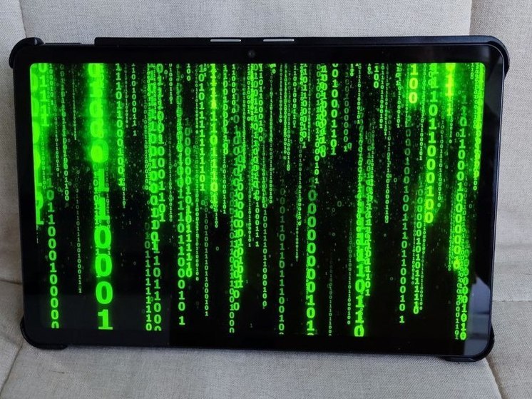 В Ленобласти на IT-специальности зачислили более 400 студентов