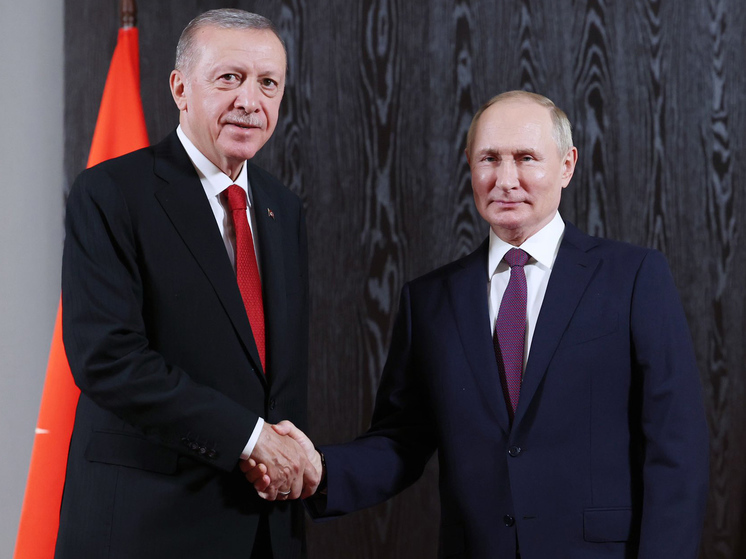 Дипломат Андрей Бакланов объяснил, какую внешнеполитическую игру затеял турецкий лидер