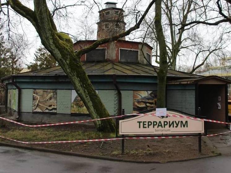 Здание террариума снова закрыли в Калининградском зоопарке