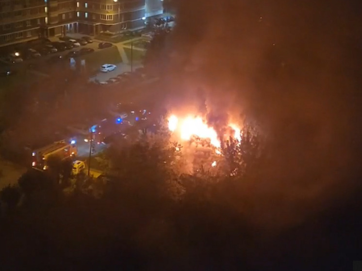 Один человек погиб во время пожара в доме в Истре