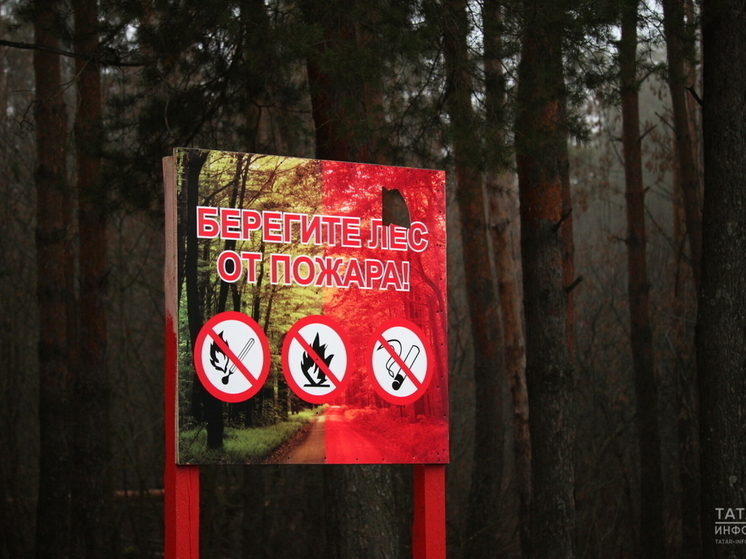 По причине пожарной опасности в Татарстане ввели штормовое предупреждение