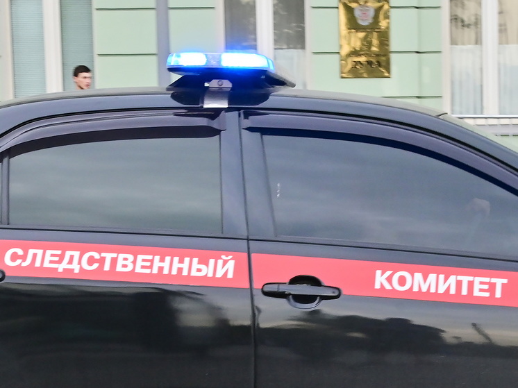 Экспертиза опровергла гибель 13-летней российской школьницы от грибов