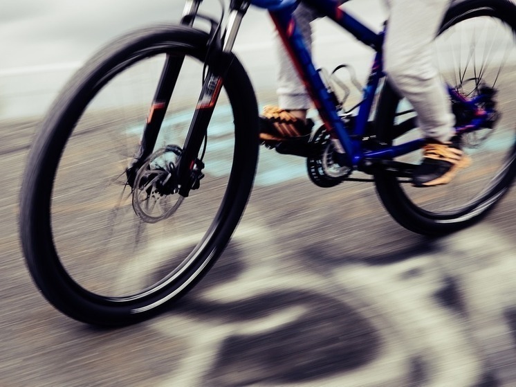 Белгородец украл велосипеды у племянниц