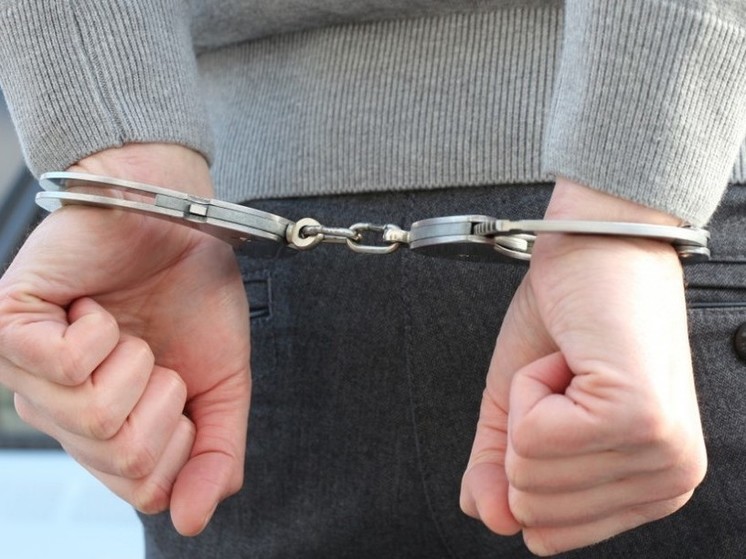 Похитившего 16-летнюю девушку из Калининграда конюха арестовали на два месяца