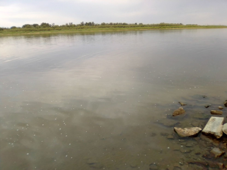 В Астрахани выделят 43 миллиона рублей для подкачки воды