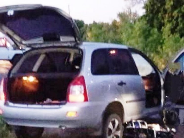 В Турковском районе под колёсами легковушки погибли мопедист и его пассажир