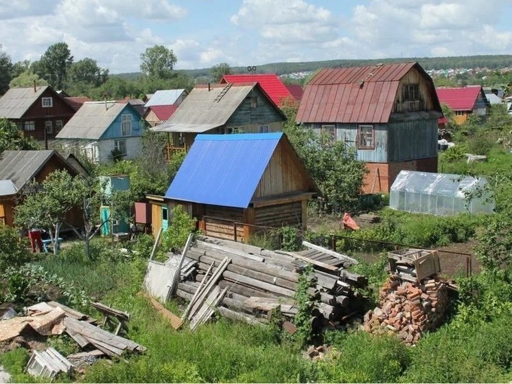 Под Уфой медведи вышли к жителям села в поисках пропитания