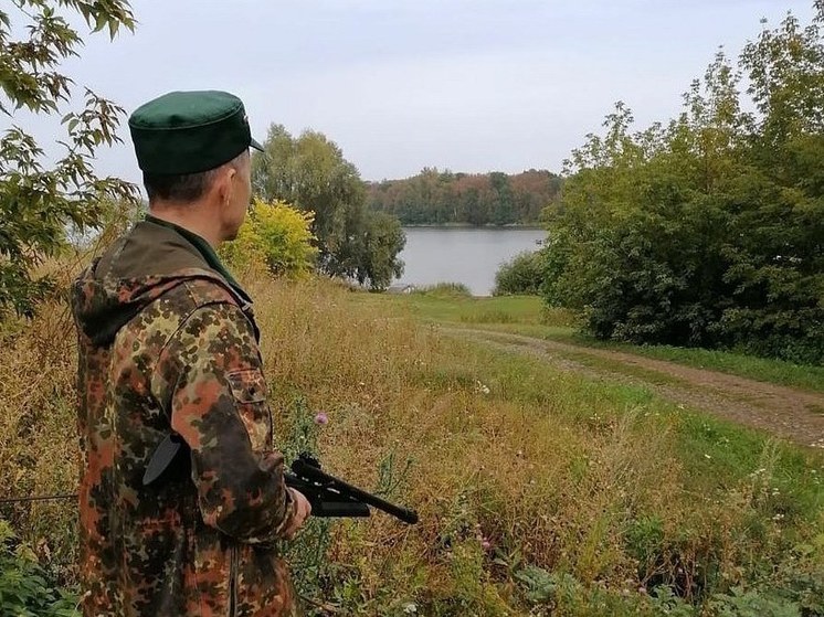 В минэкологии Башкирии рассказали о судьбе вышедших к людям медвежат