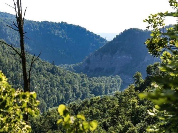 За сутки в Башкирии в лесах потерялись трое мужчин