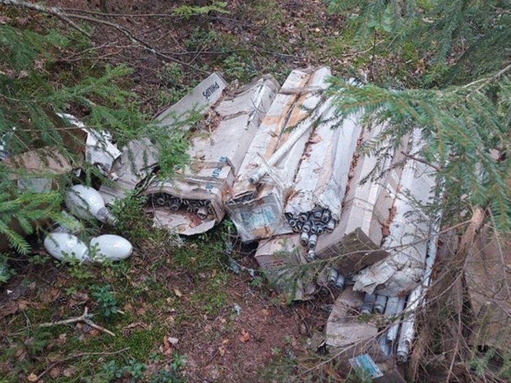Во Владимирской области свалку ртутных ламп ликвидировали