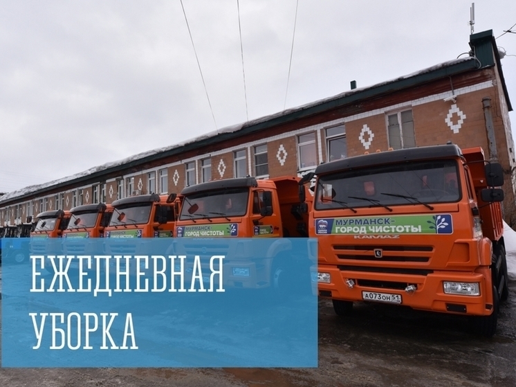 Из Мурманска вывезли более 28 кубометров мусора