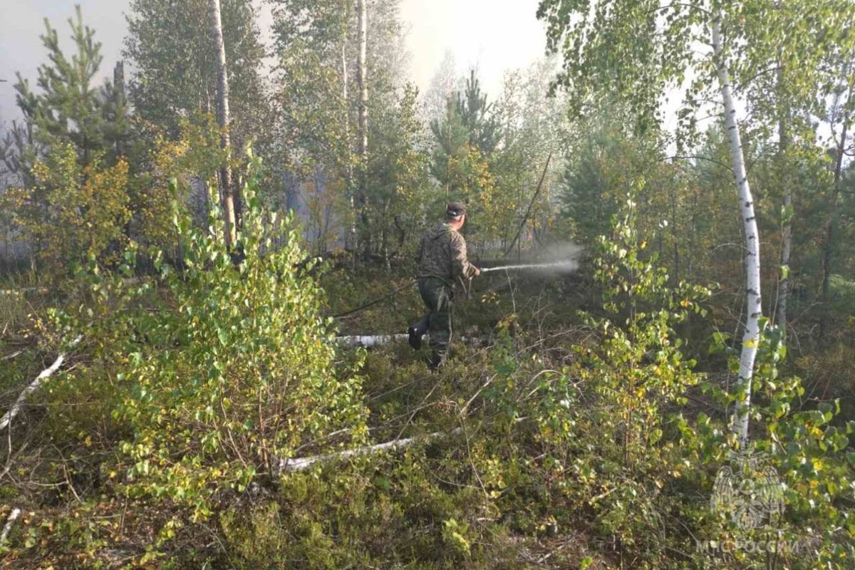 Сотрудники МЧС отправились тушить лесной низовой пожар в Ивановской области