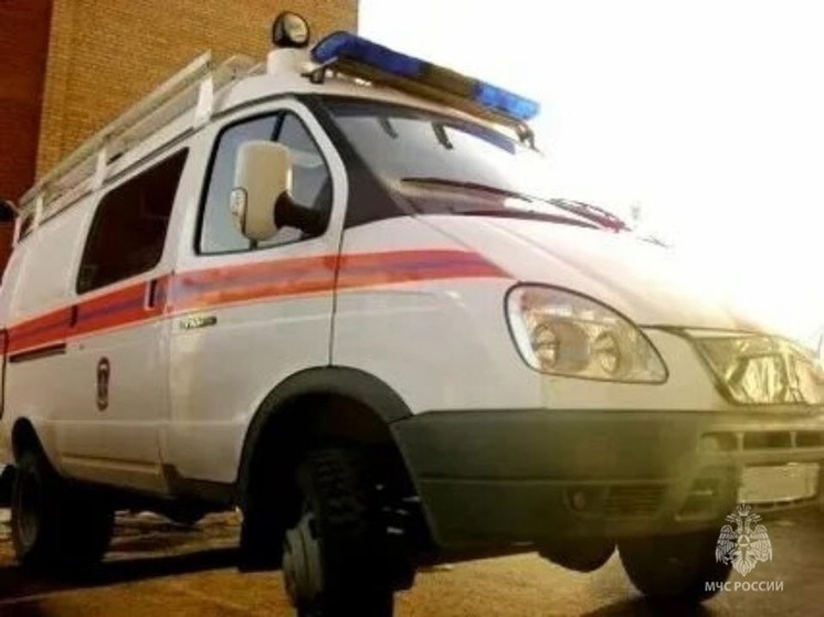 В Туве в лесу пропали муж с женой и еще одна женщина