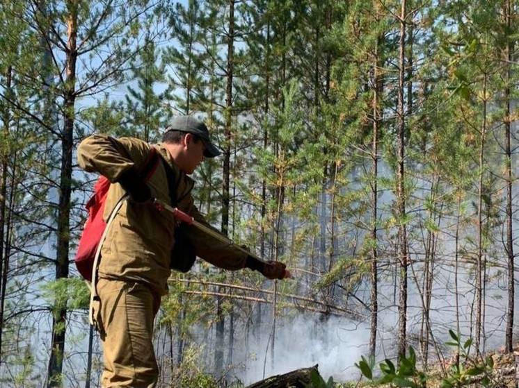  За минувшие сутки в Якутии потушили 4 лесных пожара
