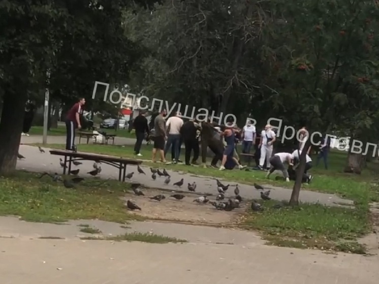 В Ярославле в Брагино произошла массовая драка