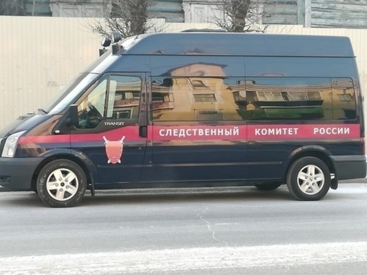 Уголовное дело возбудили после исчезновения 11-летнего мальчика в Чите