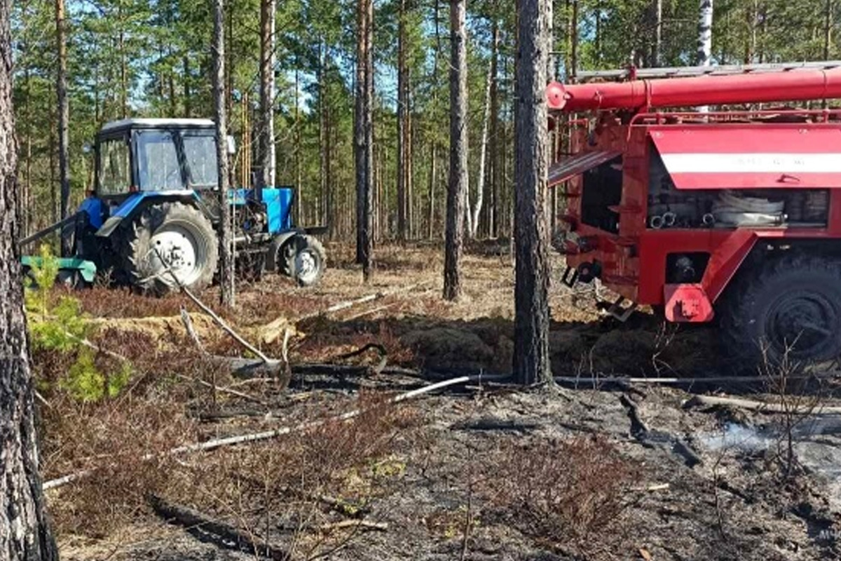 В Ивановской области пожарные 7 часов тушили лесной пожар, раскинувшийся на 2,7 га