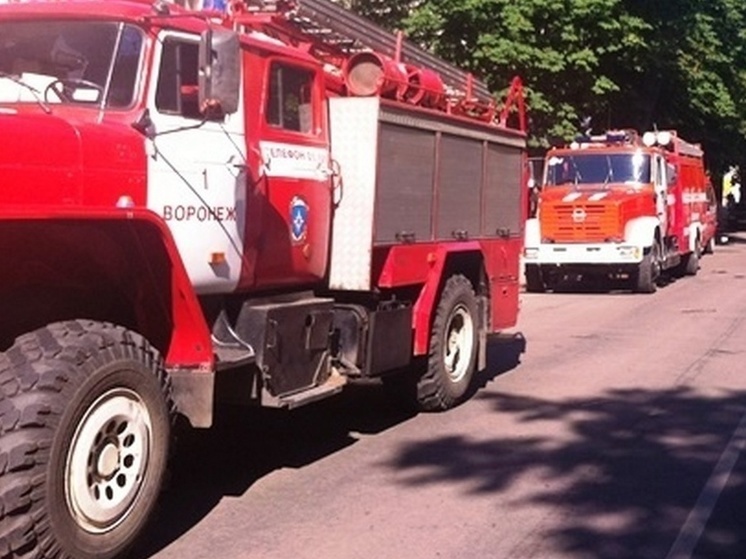 В пожаре под Воронежем получили ожоги годовалая девочка и женщина