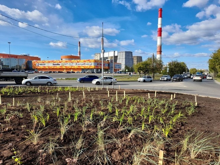 В Кирове на месте круговой развязки на Луганской разбили клумбу
