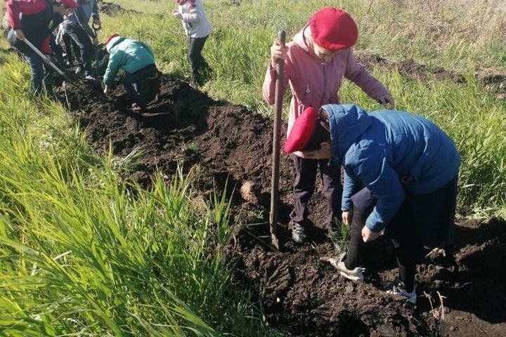В Орловской области юные лесники посадили почти 100 деревьев