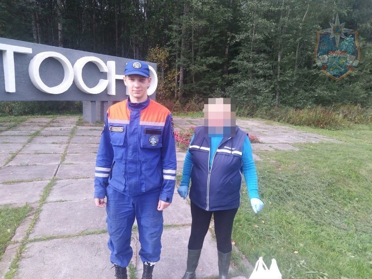 Спасатели пришли на помощь пенсионерке, заблудившейся в лесу в районе Тосно