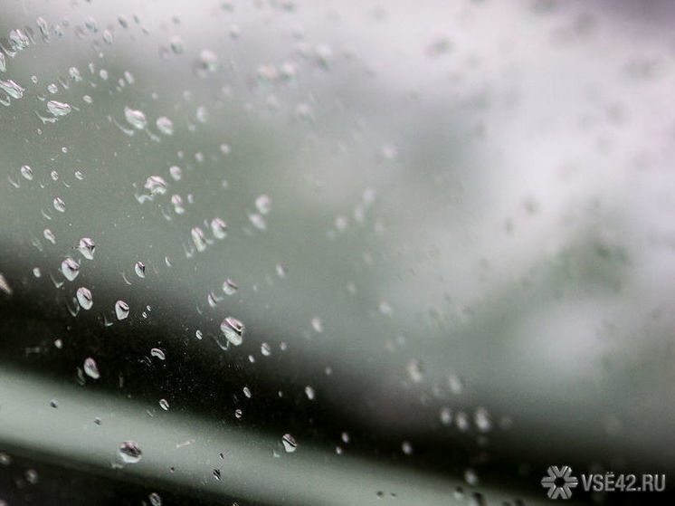 Дожди и грозы: синоптики рассказали о погоде в Кузбассе на завтра